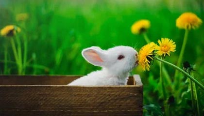 fb体育登录入口-VALORANT 青训新人首次登场 表现超出预期，valorant发布