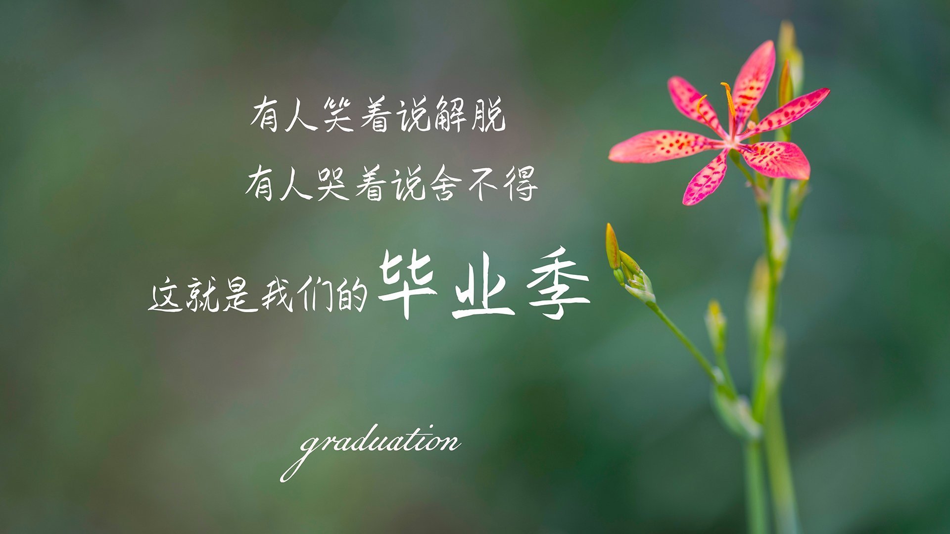 边路传中是否被快速渗透战术边缘化，边路进攻的战术配合基本方法