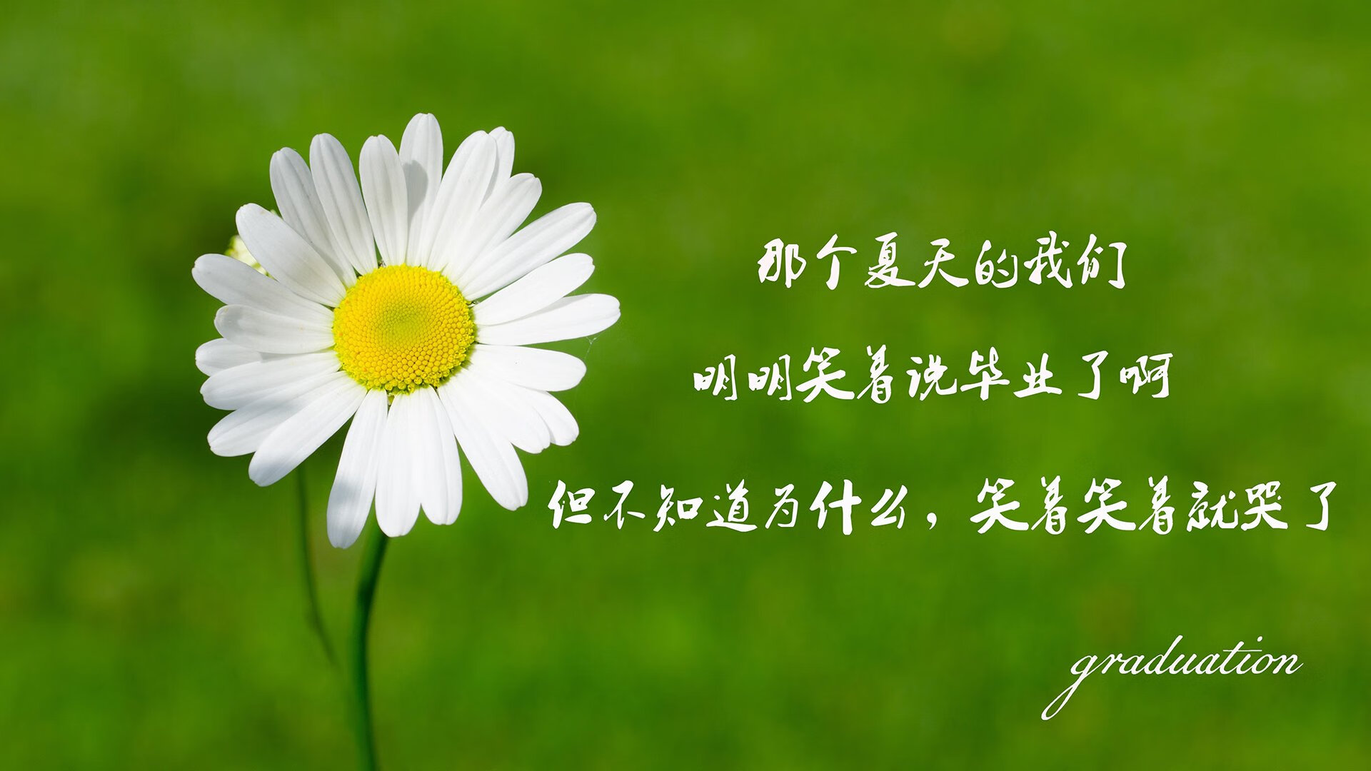 瑞典队乒乓球战术：快速发球与远台进攻结合，瑞典乒乓球国家队