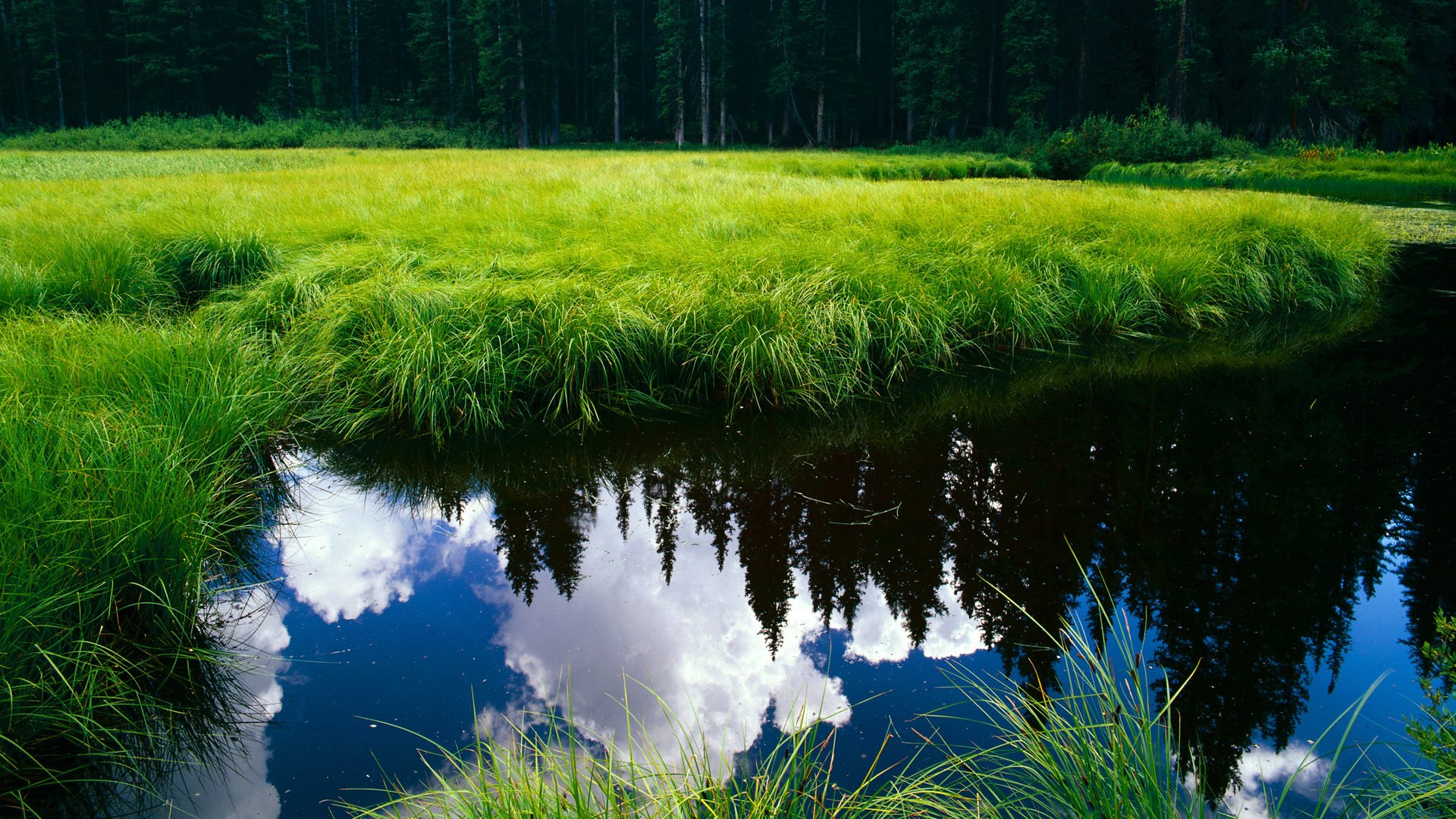fb体育下载-足球训练引入区域联防数据模型，足球区域防守战术