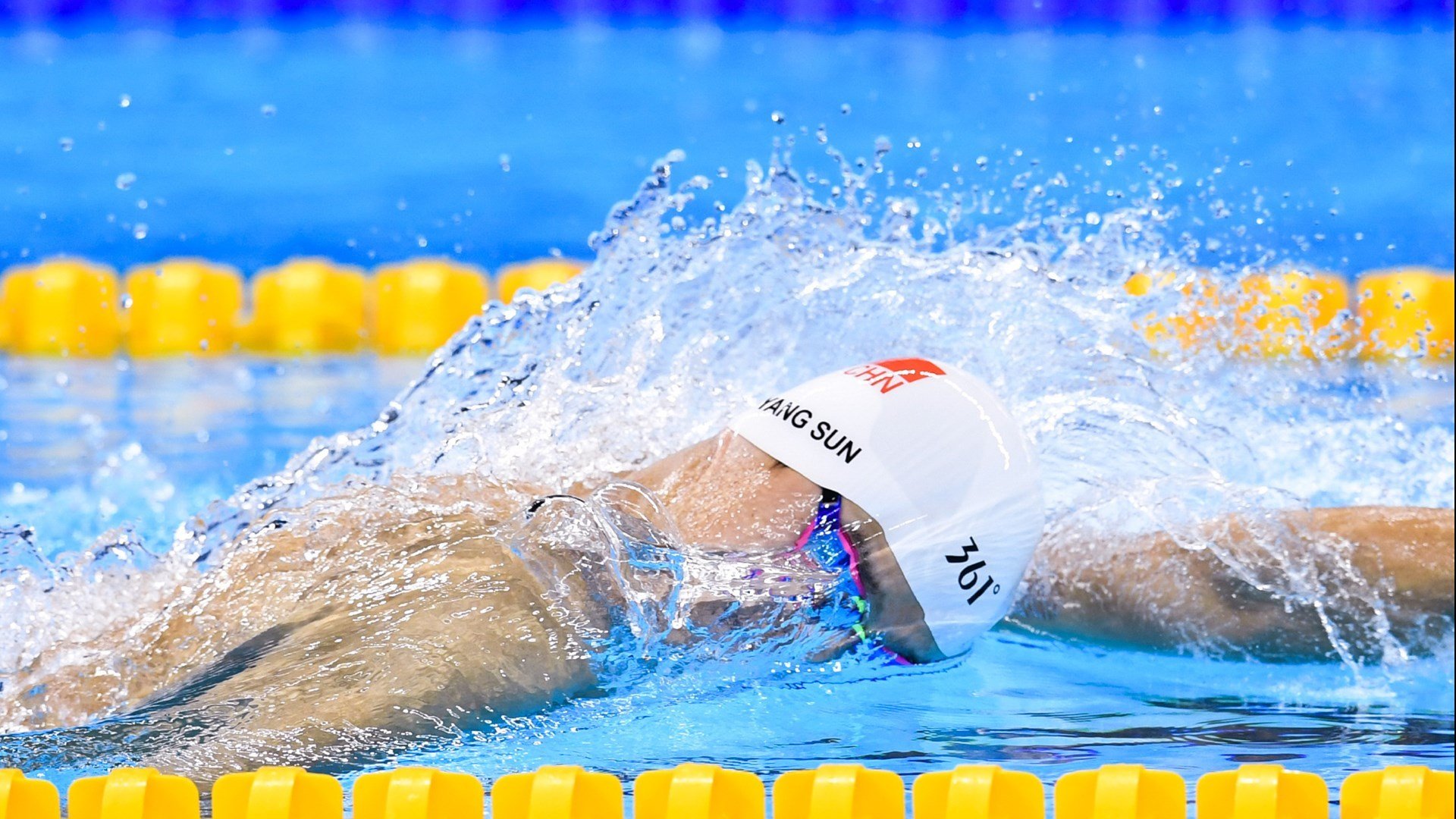 伊朗马术协会与亚洲马术协会建立合作关系，推动区域发展。，伊朗足球协会