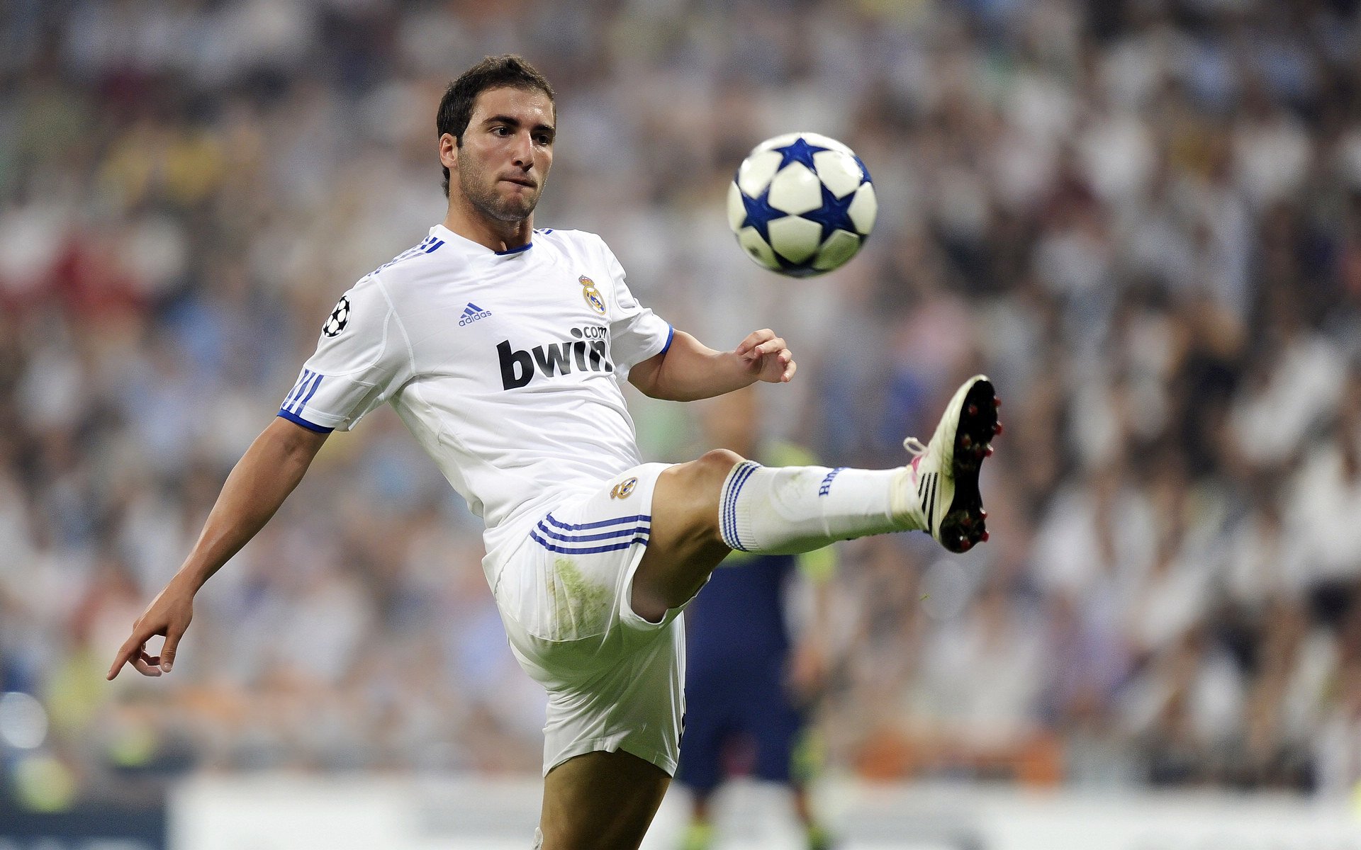 未来之星盘点:从青训到一线的精彩转变,未来之星下一句是什么合适